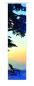 Preview: Sonnenuntergang im Winter, Schiebevorhang mit Wintermotiv